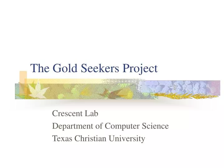the gold seekers project