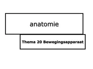 anatomie