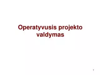operatyvusis projekto valdymas
