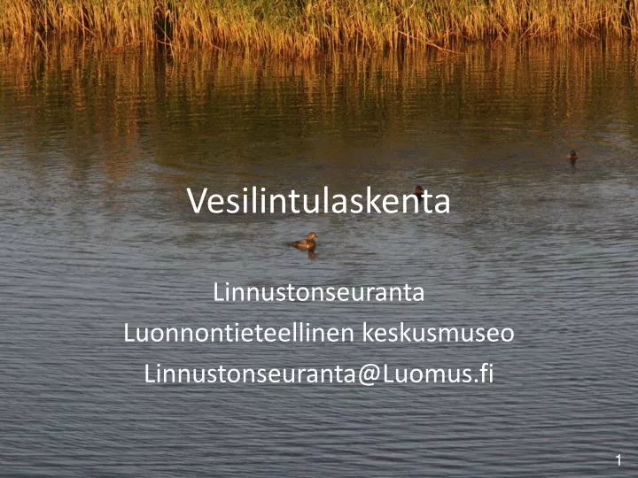 vesilintulaskenta