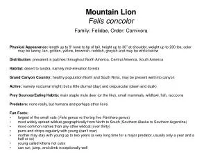 Mountain Lion Felis concolor Family: Felidae, Order: Carnivora