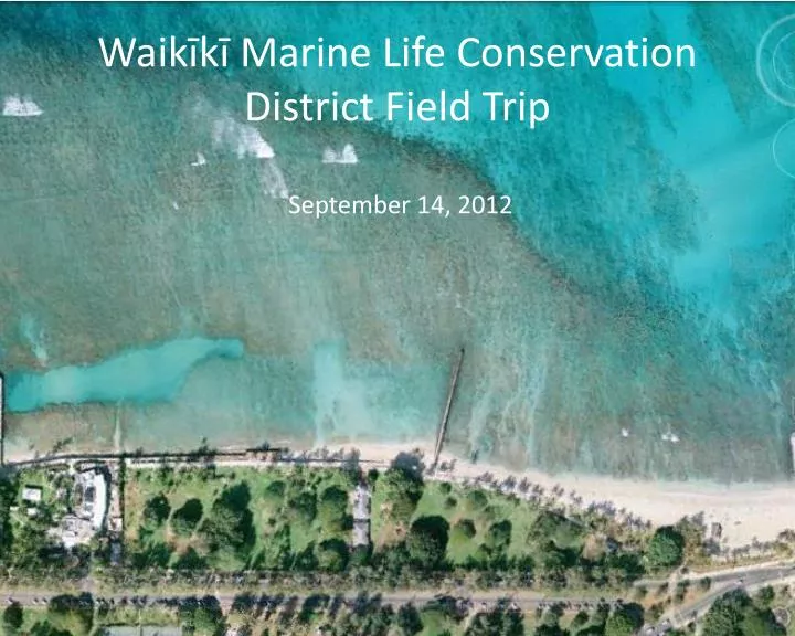 waik k marine life conservation district field trip