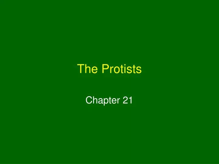 the protists