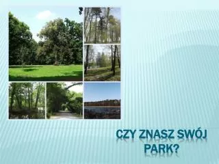 czy znasz sw j park
