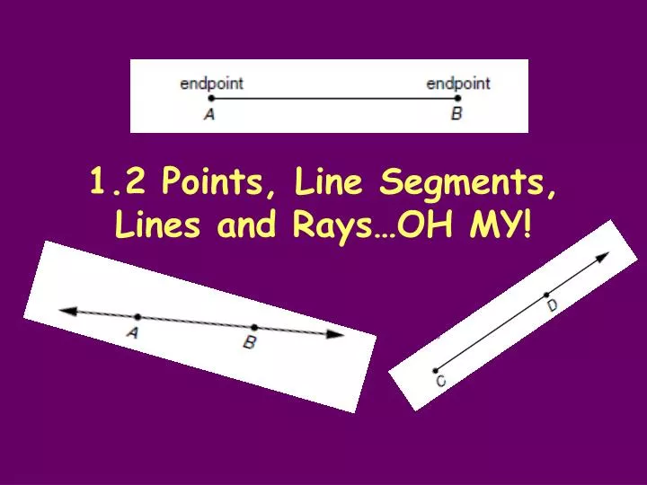 1 2 points line segments lines and rays oh my