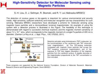 High-Sensitivity Detector for Molecular Sensing using Magnetic Particles