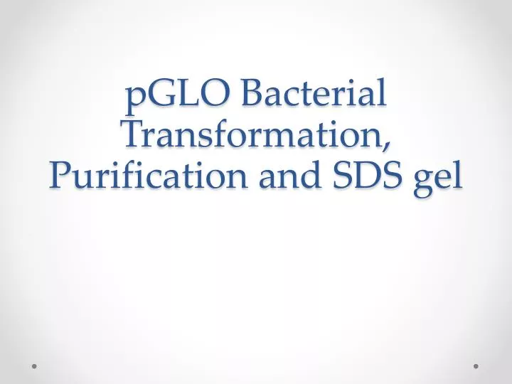 pglo bacterial transformation purification and sds gel