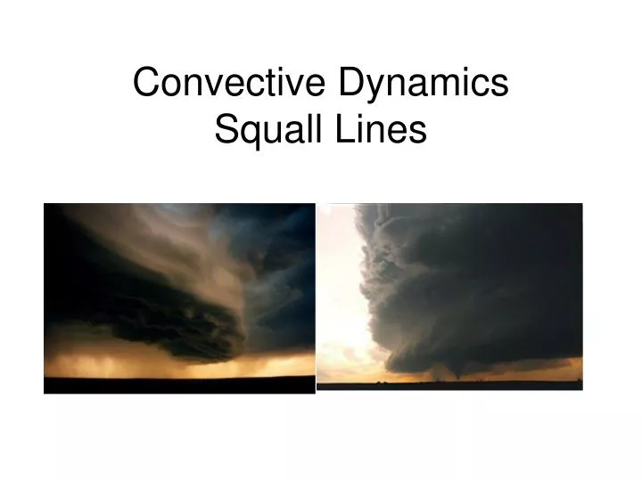 convective dynamics squall lines