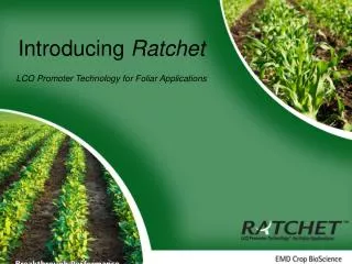 Introducing Ratchet LCO Promoter Technology for Foliar Applications