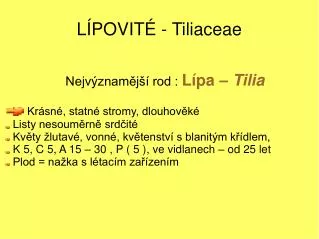 l povit tiliaceae