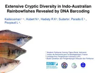 Extensive Cryptic Diversity in Indo-Australian Rainbowfishes Revealed by DNA Barcoding