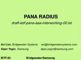 PANA RADIUS draft-ietf-pana-aaa-interworking-00.txt