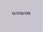 GLYCOLYSIS - slide 1