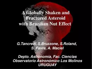 A Globally Shaken and Fractured Asteroid with Brazilian Nut Effect