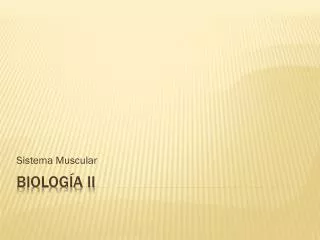 sistema muscular