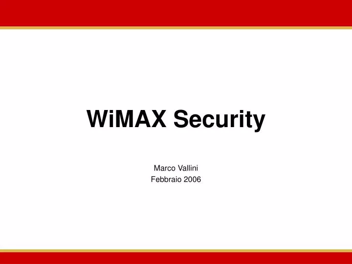 wimax security