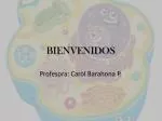 BIENVENIDOS - slide 1