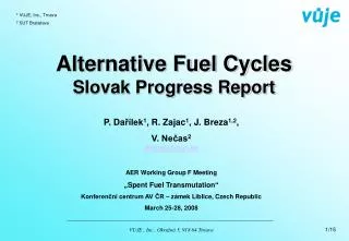 Alternative Fuel Cycles Slovak Progress Report