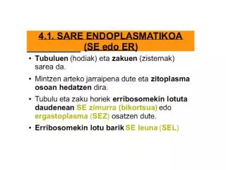 ERRETIKULU ENDOPLASMATIKOA