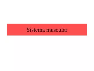 sistema muscular