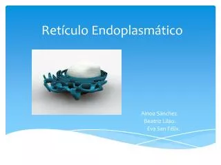 ret culo endoplasm tico