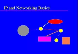 IP and Networking Basics