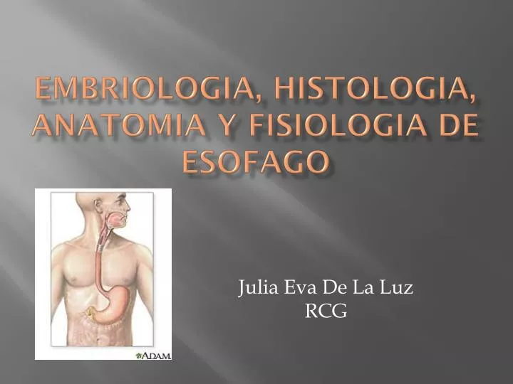 embriologia histologia anatomia y fisiologia de esofago