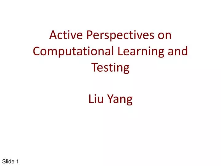 active perspectives on computational learning and testing