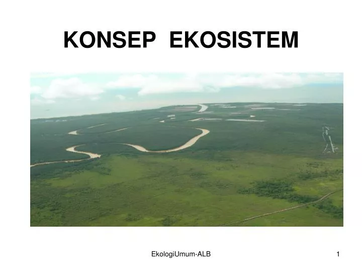 konsep ekosistem