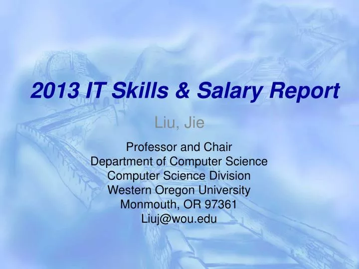 2013 it skills salary report