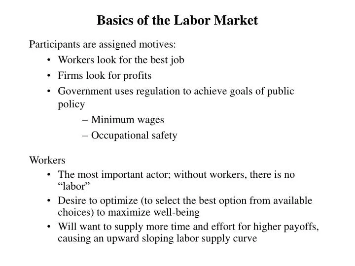 basics of the labor market