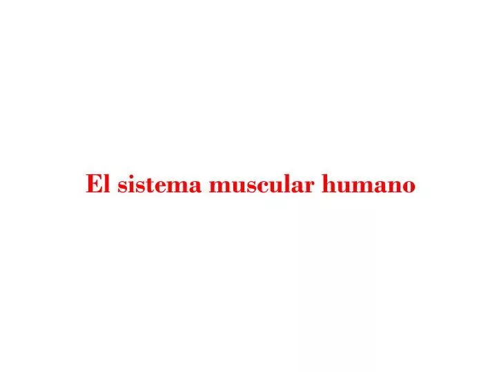 el sistema muscular humano