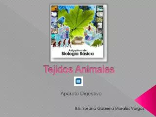 tejidos animales