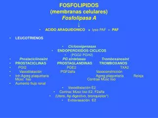 FOSFOLIPIDOS (membranas celulares) Fosfolipasa A ↓