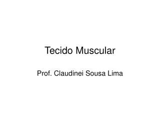 tecido muscular