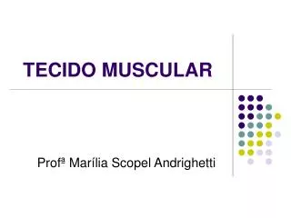 prof mar lia scopel andrighetti