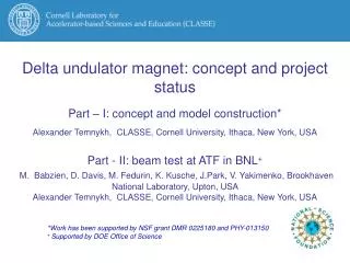 Delta undulator magnet: concept and project status