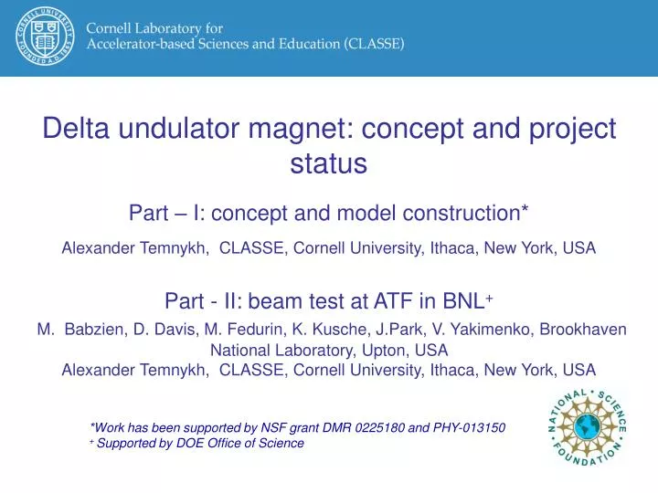 delta undulator magnet concept and project status