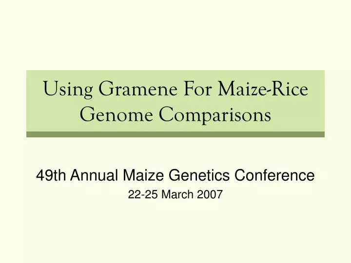 using gramene for maize rice genome comparisons
