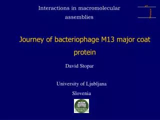 Journey of bacteriophage M13 major coat protein