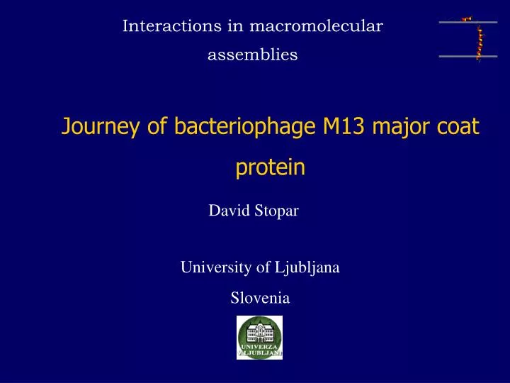 journey of bacteriophage m13 major coat protein