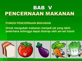 bab v pencernaan makanan