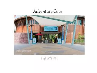 Adventure Cove