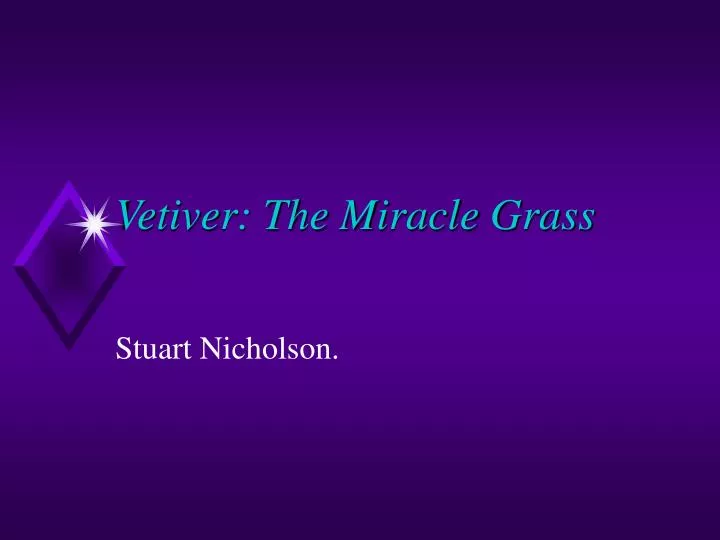 vetiver the miracle grass