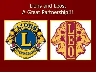 Lions and Leos, A Great Partnership!!!