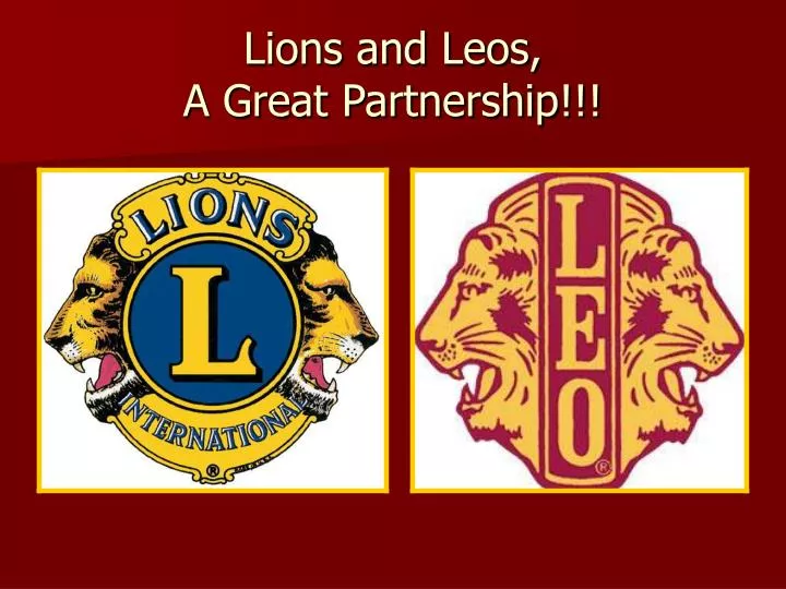 lions and leos a great partnership