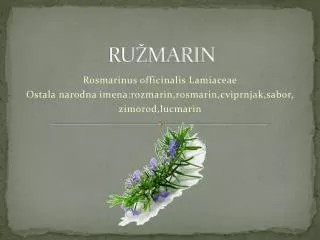 ru marin