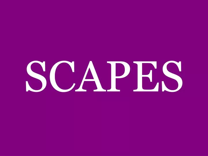 scapes