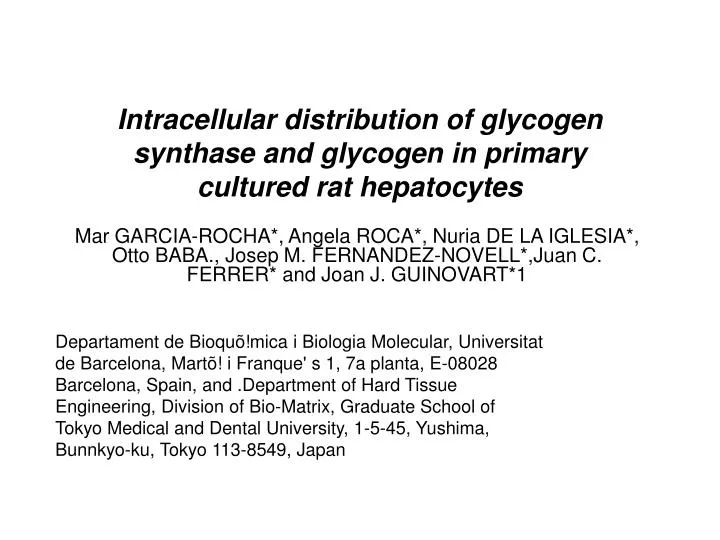 intracellular distribution of glycogen synthase and glycogen in primary cultured rat hepatocytes