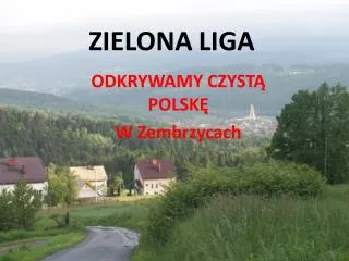 zielona liga